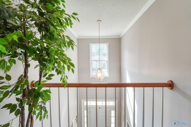 room details with ornamental molding and a textured ceiling