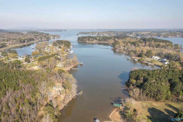415 County Road 146, Leesburg, AL 35983 - birds eye view of property featuring a water view and a view of trees