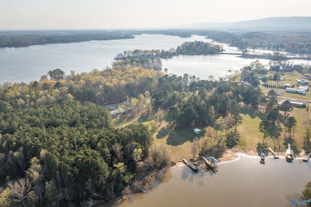 415 County Road 146, Leesburg, AL 35983 - birds eye view of property featuring a water view and a forest view