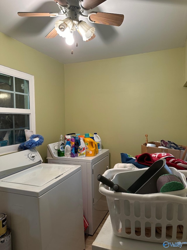 clothes washing area with independent washer and dryer, ceiling fan, and light hardwood / wood-style floors