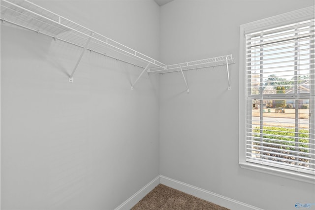 spacious closet with carpet flooring