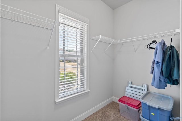 spacious closet with carpet