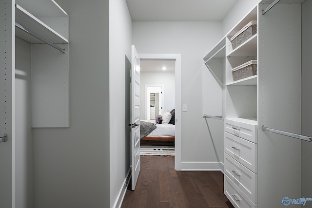 spacious closet with dark wood-style flooring
