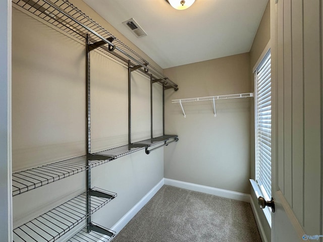 walk in closet featuring carpet and visible vents