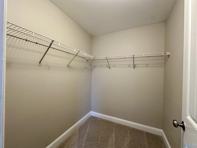 spacious closet with carpet floors