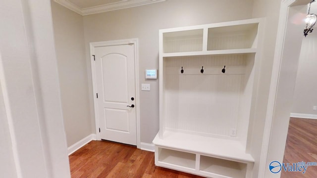 mudroom featuring wood-type flooring and crown molding