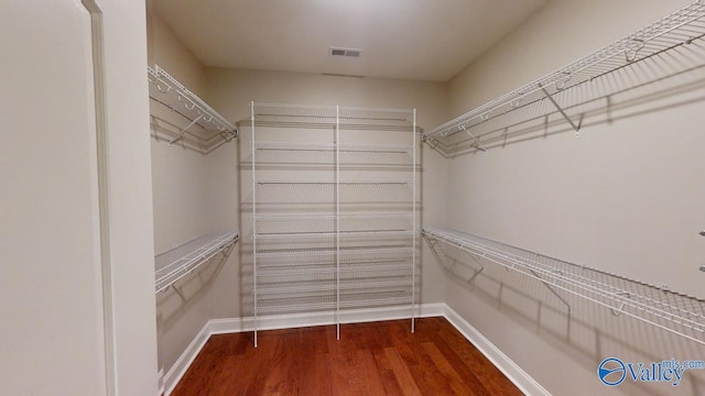 spacious closet with wood-type flooring