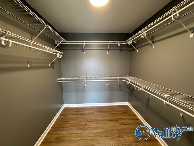 walk in closet with hardwood / wood-style flooring