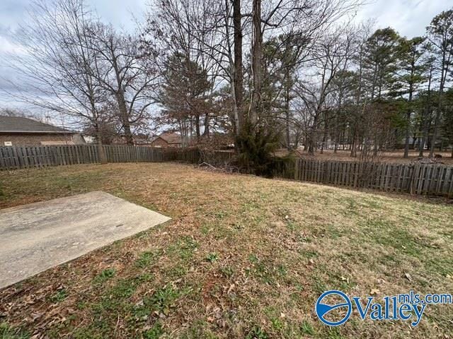 view of yard featuring a patio area