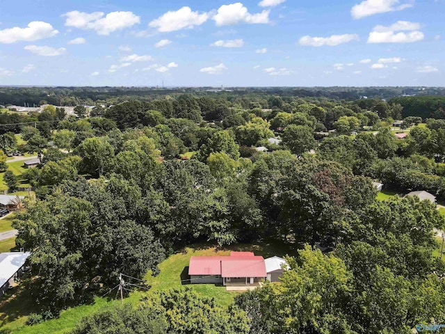 bird's eye view with a forest view