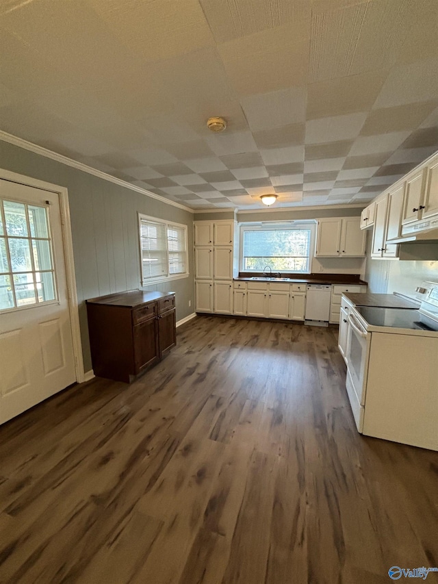 175 County Road 371, Centre, AL 35960 - kitchen featuring white appliances, dark wood-style flooring, white cabinetry, a sink, and ornamental molding