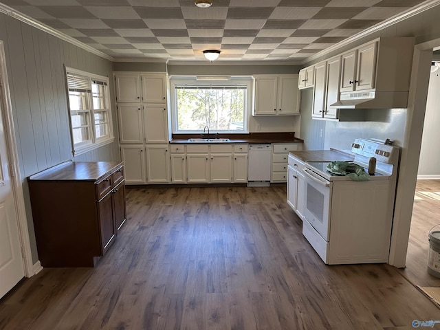 175 County Road 371, Centre, AL 35960 - kitchen featuring white appliances, a sink, crown molding, dark wood finished floors, and white cabinets