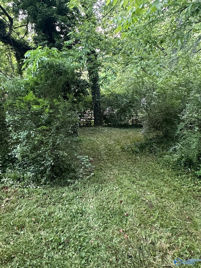 view of nature featuring a wooded view