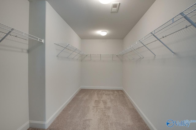 214 Tybee Dr, Madison, AL 35756 - spacious closet with light colored carpet and visible vents