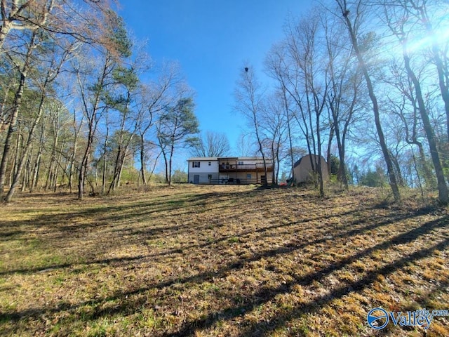 view of yard featuring a deck