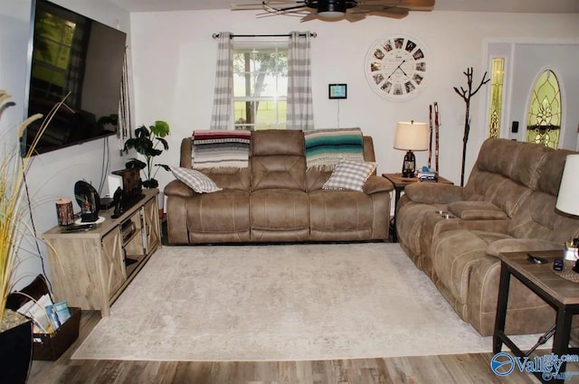 living room featuring ceiling fan and wood-type flooring