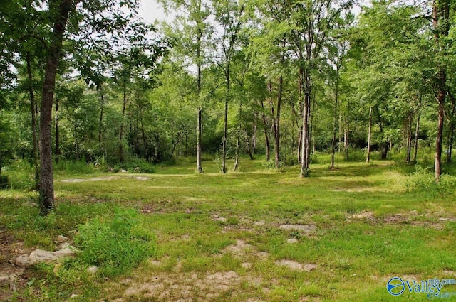 view of landscape