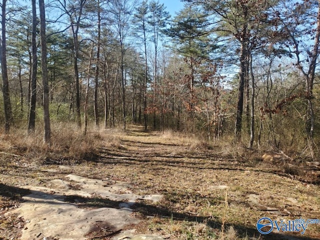 view of local wilderness