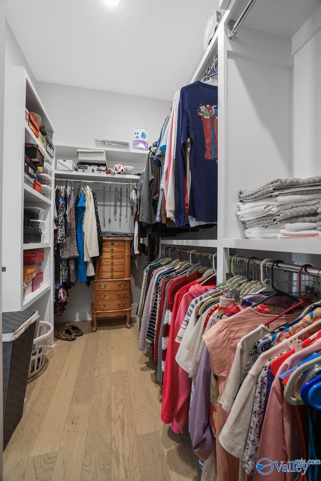 walk in closet with wood-type flooring