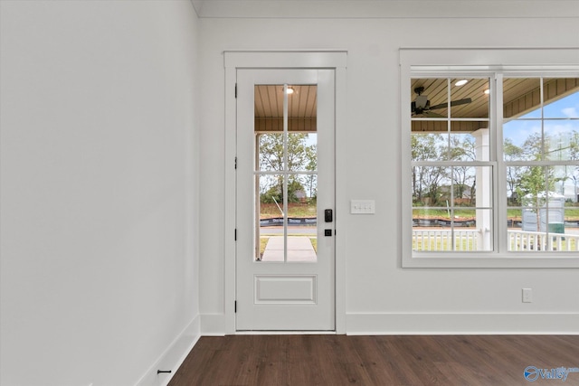 entryway with ceiling fan, dark hardwood / wood-style floors, and plenty of natural light