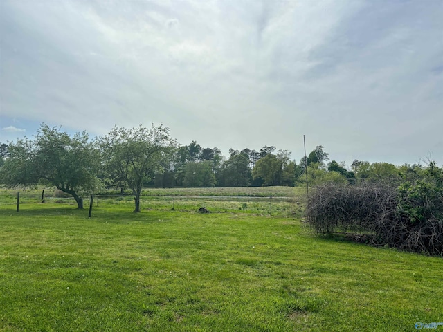 view of yard with a rural view