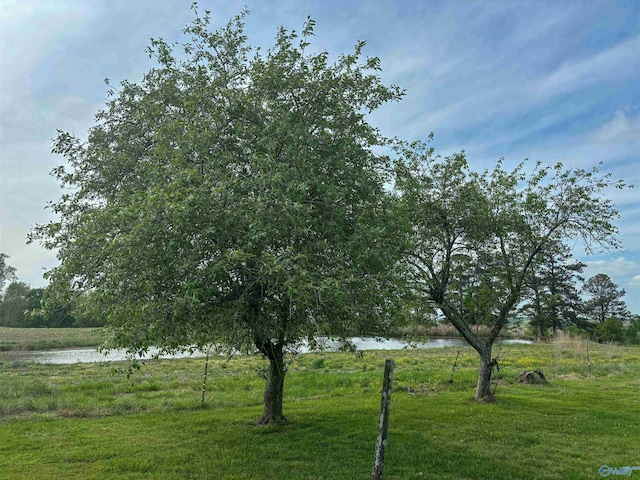 view of yard featuring a water view