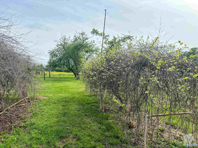 view of yard with a rural view