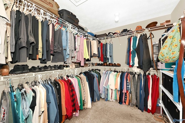 spacious closet featuring carpet flooring