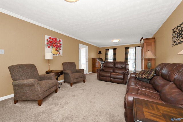 living room with a textured ceiling, light colored carpet, and crown molding