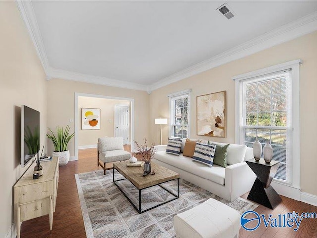 living room featuring hardwood / wood-style flooring and crown molding