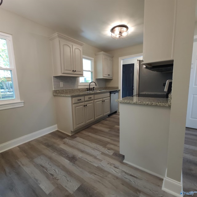 kitchen with white cabinets, a wealth of natural light, hardwood / wood-style flooring, and stainless steel dishwasher