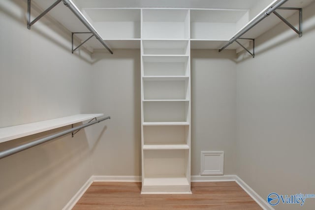 walk in closet with light wood-type flooring