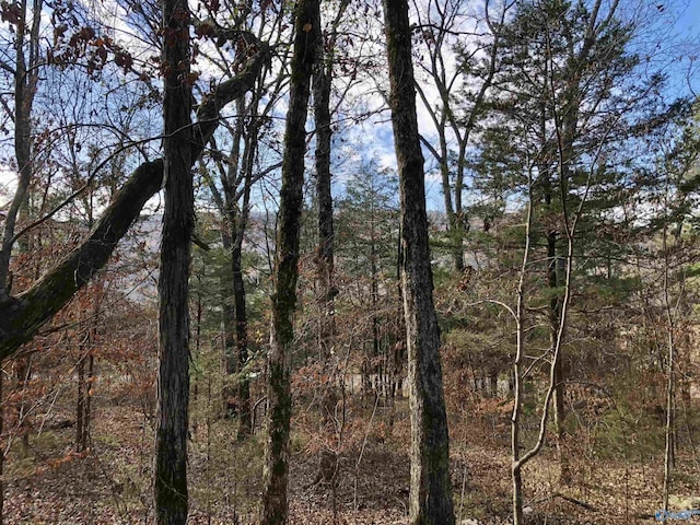 LOT0 Bettinger Mountain Rd, Union Grove AL, 35175 land for sale