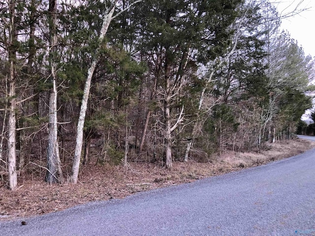 Listing photo 2 for LOT0 Bettinger Mountain Rd, Union Grove AL 35175