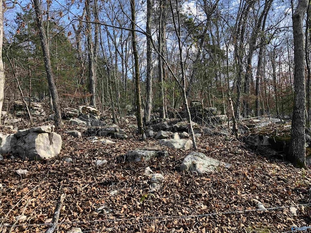 Listing photo 3 for LOT0 Bettinger Mountain Rd, Union Grove AL 35175