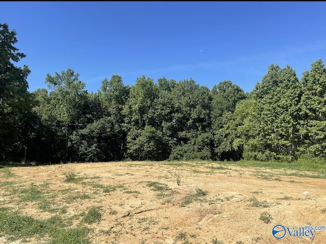 Listing photo 2 for 10.14ACRES Hillside Dr, Arab AL 35016