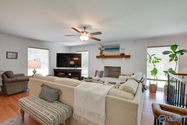 living room featuring light wood-style floors, ceiling fan, and crown molding