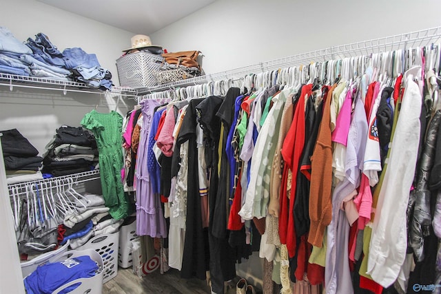 spacious closet featuring wood finished floors