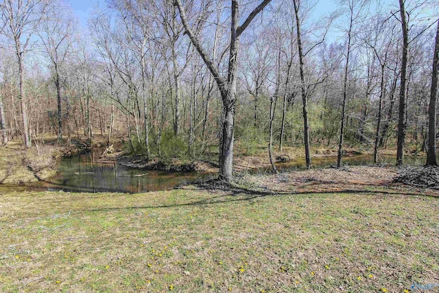 view of yard with a wooded view