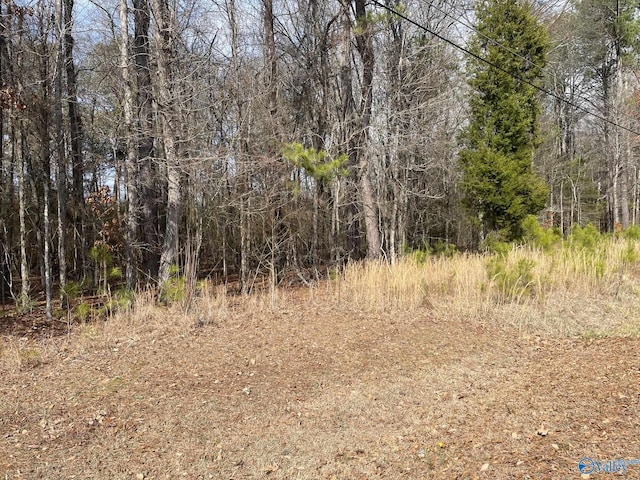 LOT4 Indian Lake Dr, Etowah AL, 35906 land for sale