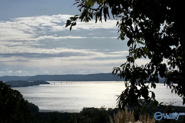 view of water feature with a mountain view