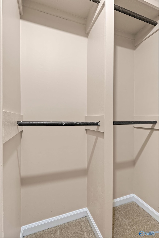 spacious closet with carpet floors