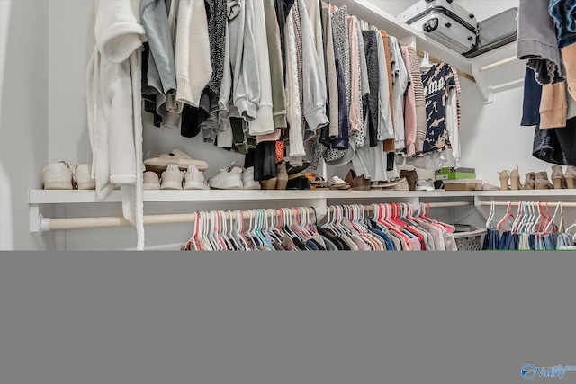 view of spacious closet