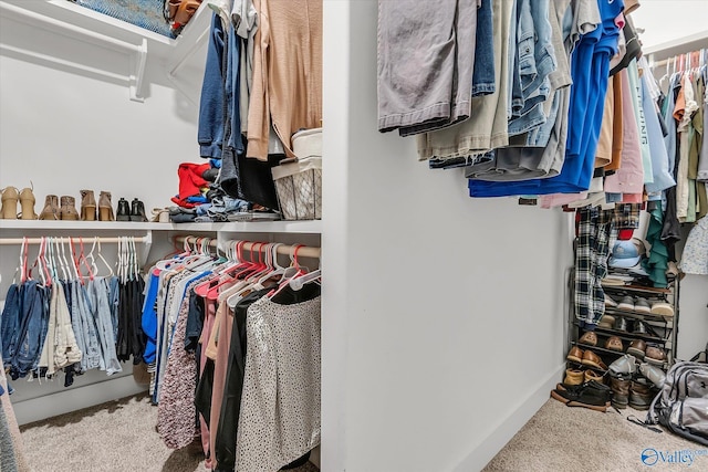 spacious closet featuring carpet floors