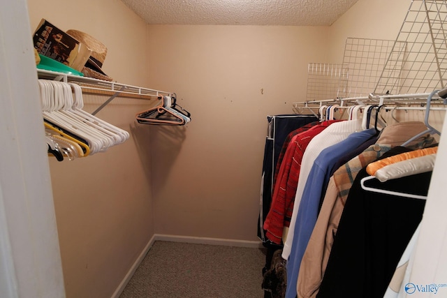 walk in closet featuring carpet flooring