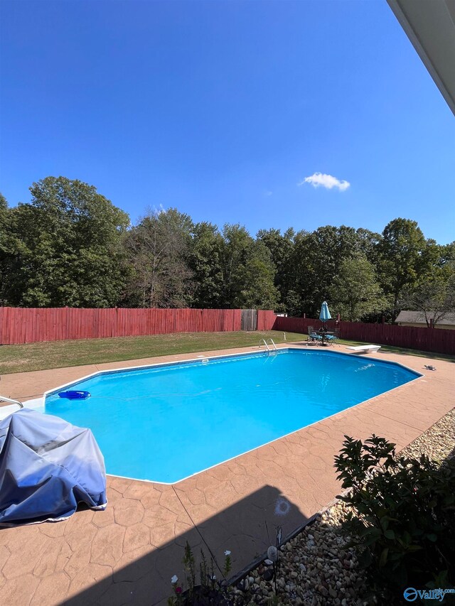 view of pool featuring a diving board and a patio area