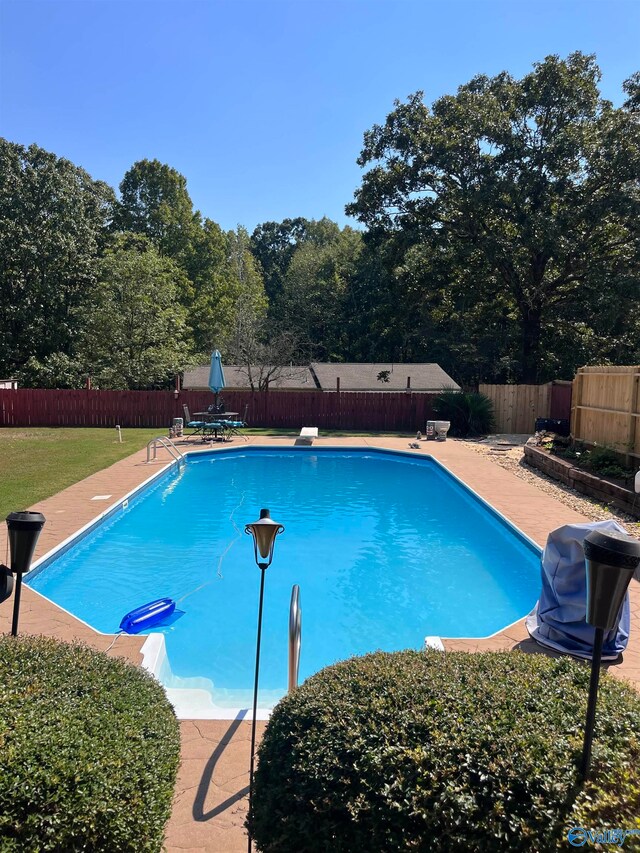 view of pool featuring a diving board and a patio