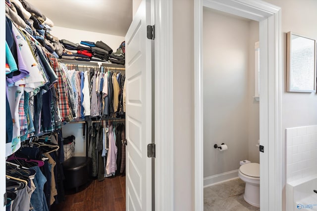 spacious closet with hardwood / wood-style floors