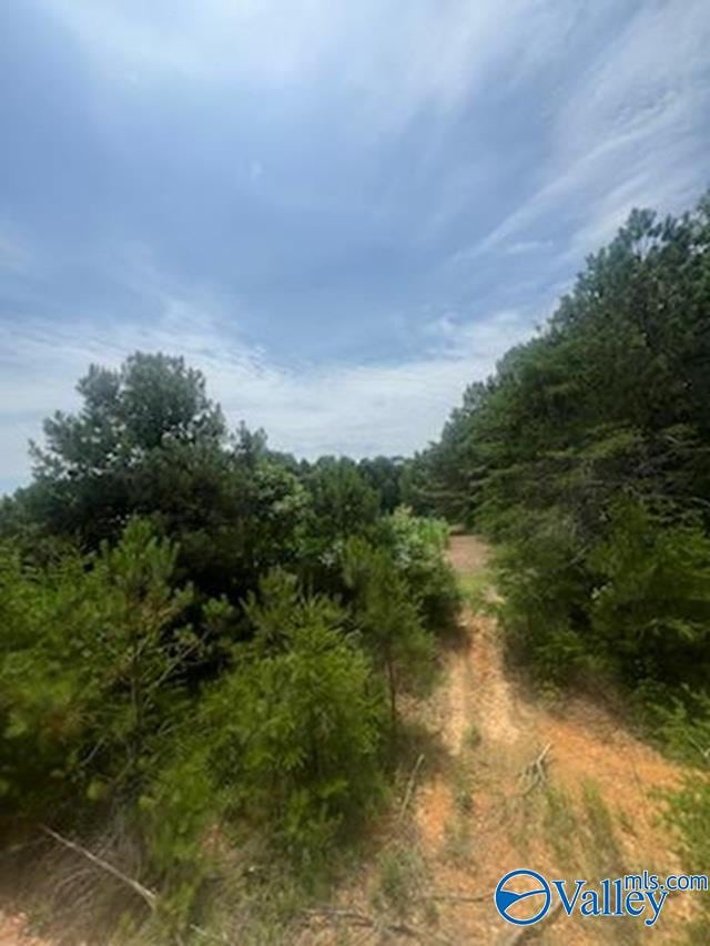 1.52AC County Road 350, Fort Payne, AL 35967