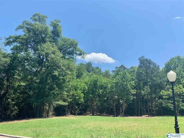 LOT14 Royal Troon Ln, Albertville AL, 35951 land for sale